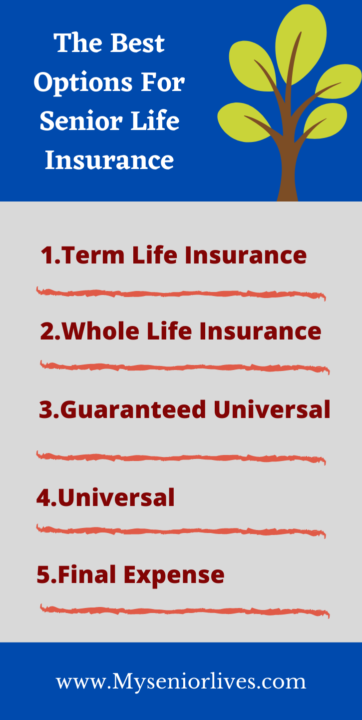 Life Insurance Over 80 Blog Guide - Life Insurance For Seniors Over 80 ...